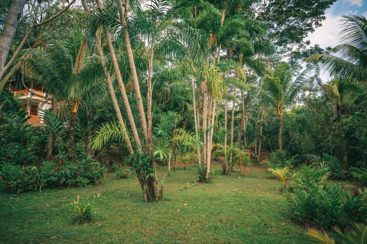 Huingos Eco Lodge Tarapoto Exterior photo