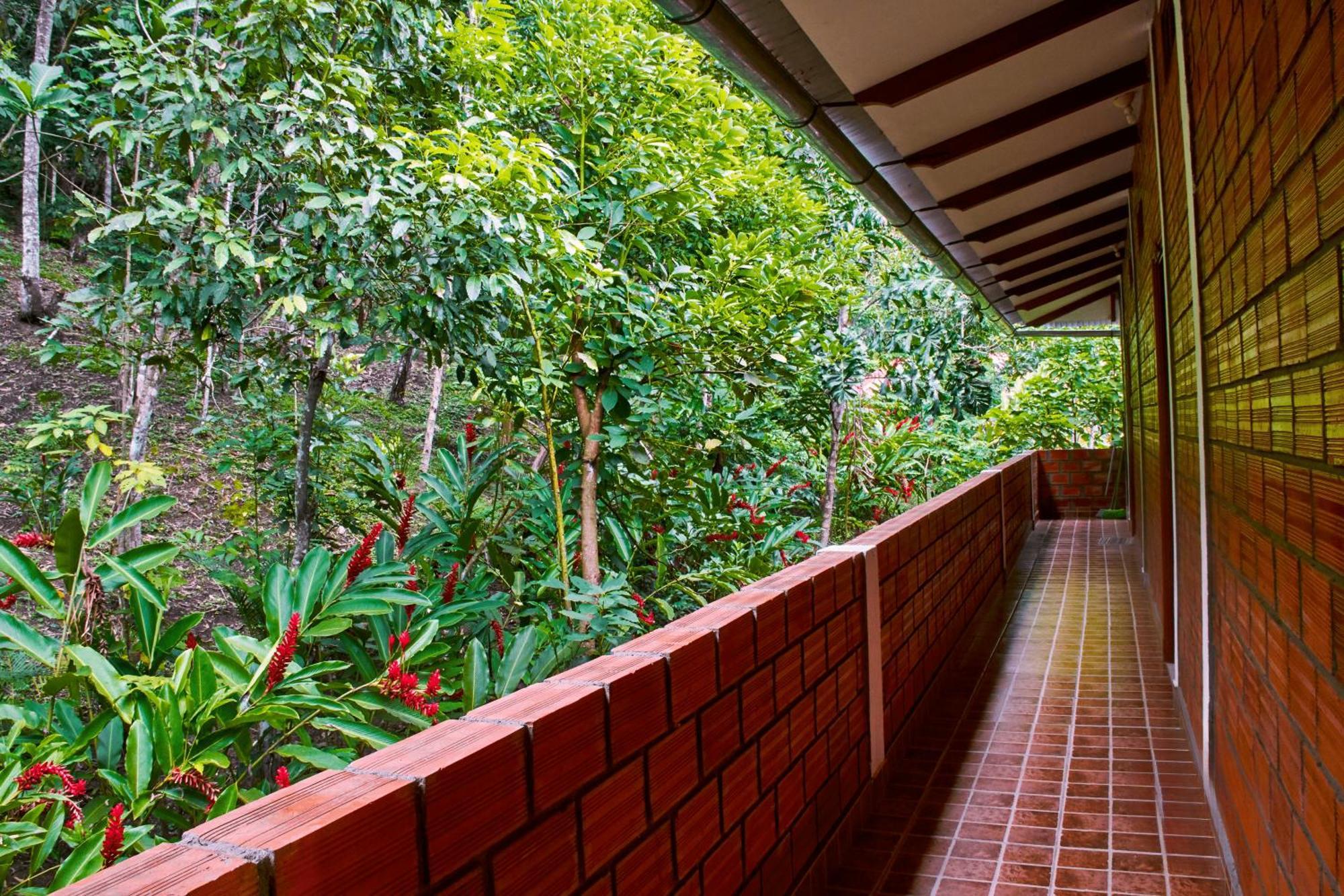 Huingos Eco Lodge Tarapoto Exterior photo